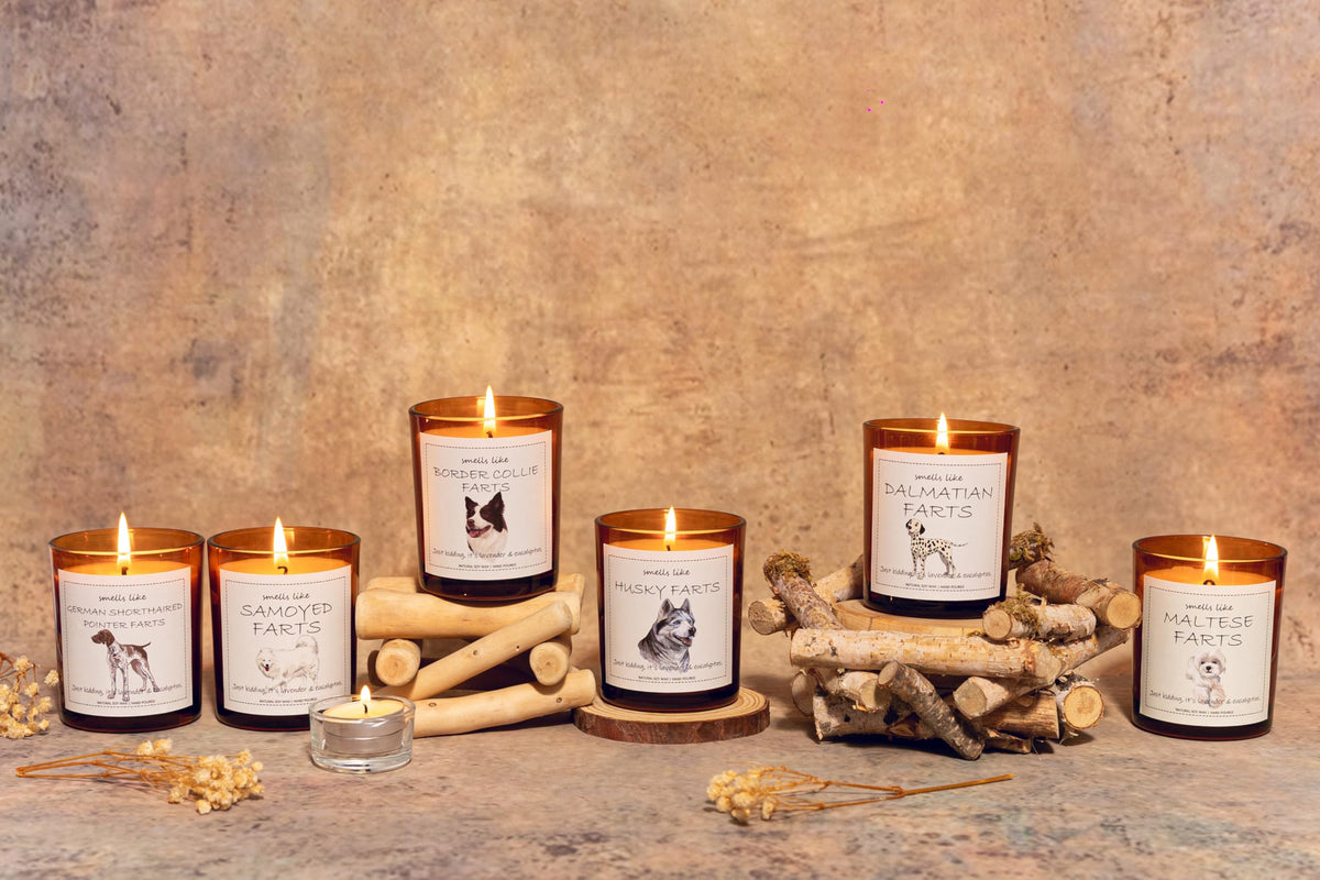 Dalmatian Gifts & Decor, Dog Mom Gifts for Women, Smells Like Dalmatian Farts Candle - Lavender & Eucalyptus, Crafted by Natural Soy Wax & Natural Essential Oils