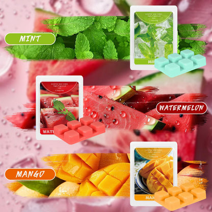SCENTORINI Wax Melts, Scented Wax Cubes Strong Scent, Summer Scents Soy Wax for Wax Warmer - Pineapple, Watermelon, Strawberry, Mango, Passion Fruit, Mint, 6 Pack