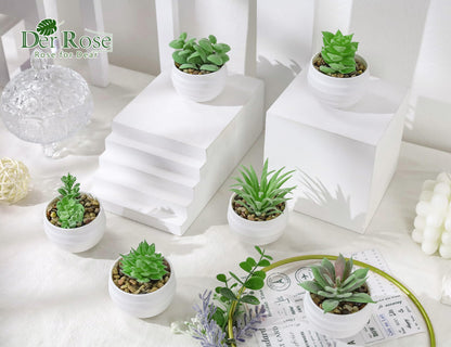 Der Rose Set of 6 Succulents Plants Artificial in Pots Small Fake Plants Graduation Gifts for Bedroom Aesthetic Living Room Shelf Bathroom Decor Office Desk Accessories