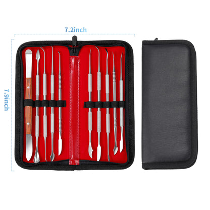 10 PCS Wax Carving Tools Dental Waxing Instruments with Case, Stainless Steel Wax Carvers Set - Metal Clay Sculpting Pottery Sculpture Tools - Double Ended DIY Waxing Modeling Kits