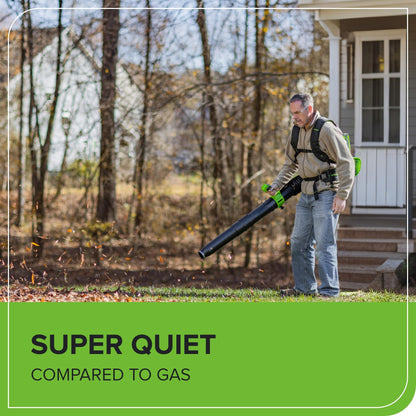 Greenworks 40V (710 CFM / 175 MPH) Brushless Backpack Blower, High Power for Wet Leaves, Heavy Debris, Gravel and Driveway Snow, Includes (2) 5.0Ah HP Batteries & 4A Dual Charger