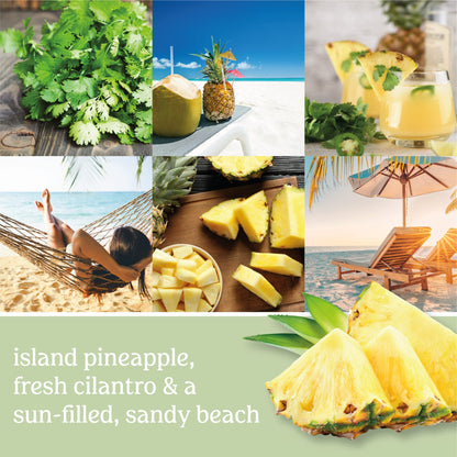 Yankee Candle Pineapple Cilantro Scented Classic 22oz Large Jar Single Wick Candle Over 110 Hours of Burn Time