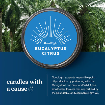GoodLight Paraffin-Free Scented Candle in Stylish Tin (Eucalyptus Citrus, 6 oz)