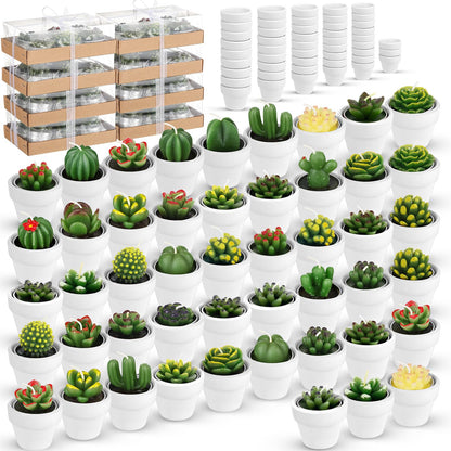 Shihanee 48 Pcs Bulk Succulent Candles Decorative Cactus Tealight Candles Handmade Mini Terracotta Clay Holders House Warming Wedding Baby Shower Spa Mexican Coworkers Teacher Birthday Gifts(White)