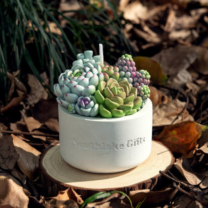 Assorted Succulent Pot Scented Vegetable Wax Candle for Spa Home Decoration Wedding Gift