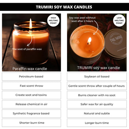 Coconut Vanilla - Aromatherapy Candles for Home Scented - 5oz Natural Soy Wax Clean Organic Non Toxic - Long Lasting Highly Scented with Essential Oils - Gifts for Women Relaxing Spa Beach Bathroom