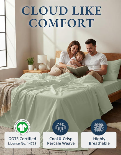 LANE LINEN 100% Organic Cotton Queen Sheet Set - Soft & Breathable Percale Weave, Deep Pocket, Hotel-Quality - Mineral Color