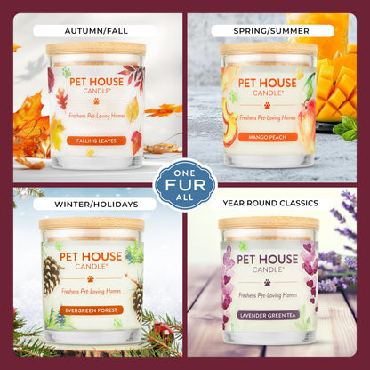 One Fur All Pet Friendly Candle 2 Pack - Plant-Based, Soy Candles, Clean Burning, Long Lasting Pet Air Freshener for Home, 2 Pack, Falling Leaves and Autumn Harvest
