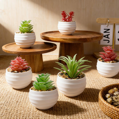 sunanday 6-Pack Mini Artificial Succulents in Ceramic Pots,Small Fake Plants for Desk, Bathroom, Aesthetic Living Room & Home Office Decor,Office Desk Accessories