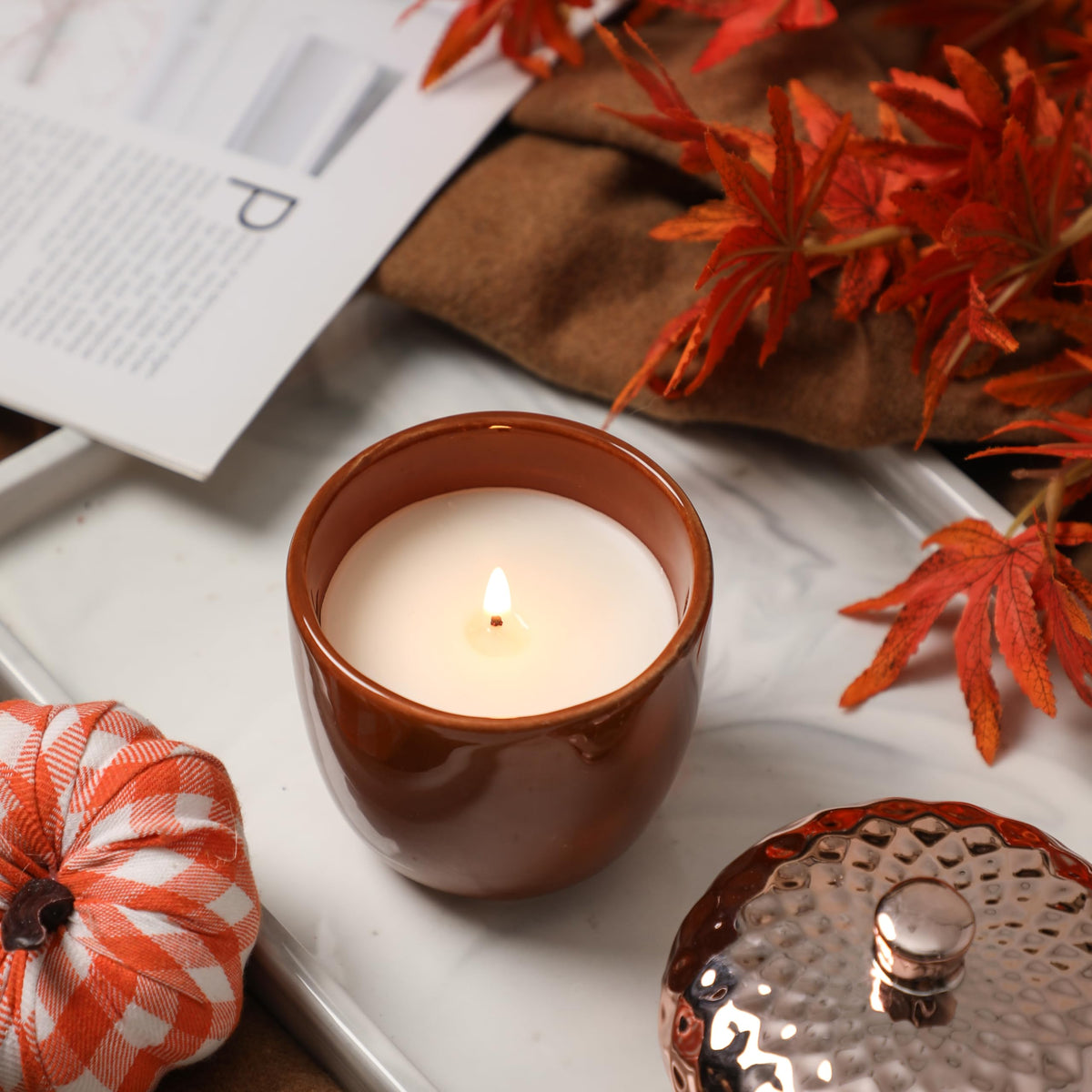 Thanksgiving Scented Candle, Pumpkin Spice Scented Candle, 6OZ Acorn Shaped Candles, Ceramic Jar Candles, Autumn & Thanksgiving Gift, Cozy Home Gift