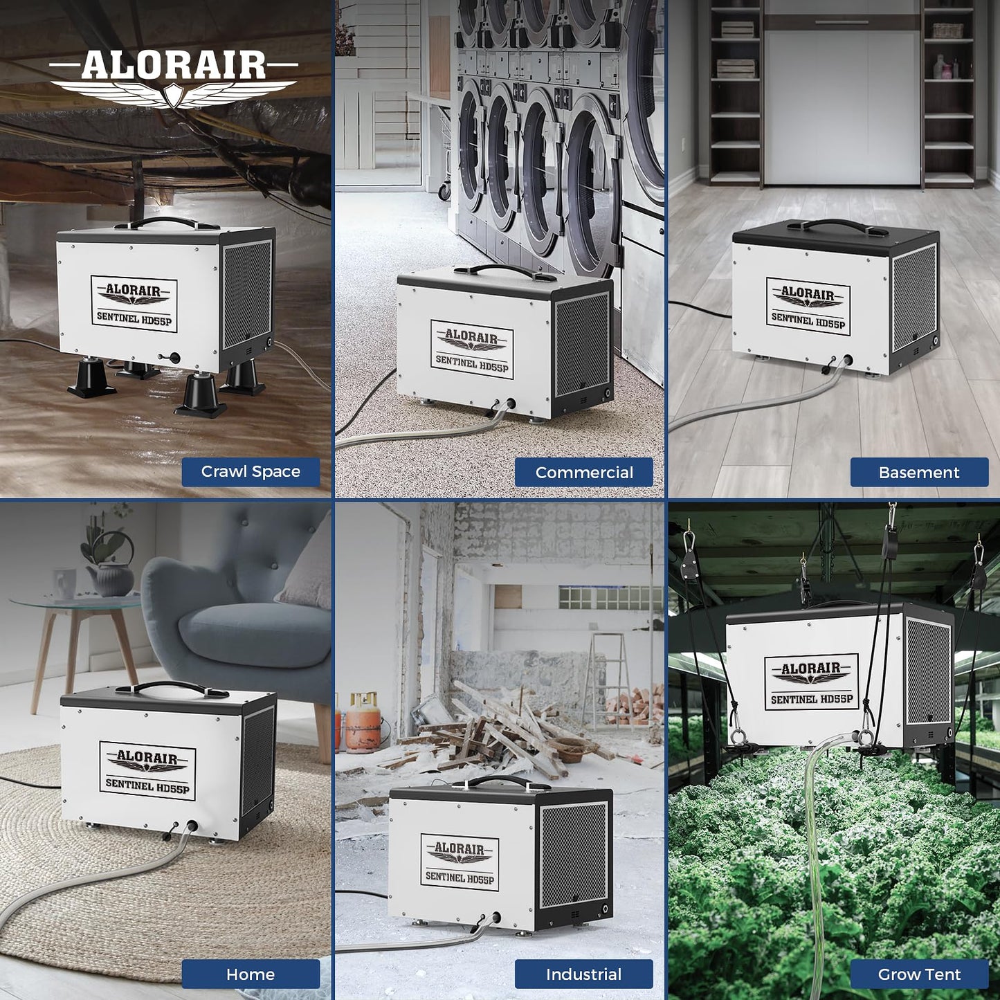 ALORAIR 120 PPD Crawl Space Dehumidifier with Pump, Commercial Basement Dehumidifier with Drain Hose, Compact Portable Auto Defrost Dehumidifier for Crawlspace and Under-House Use