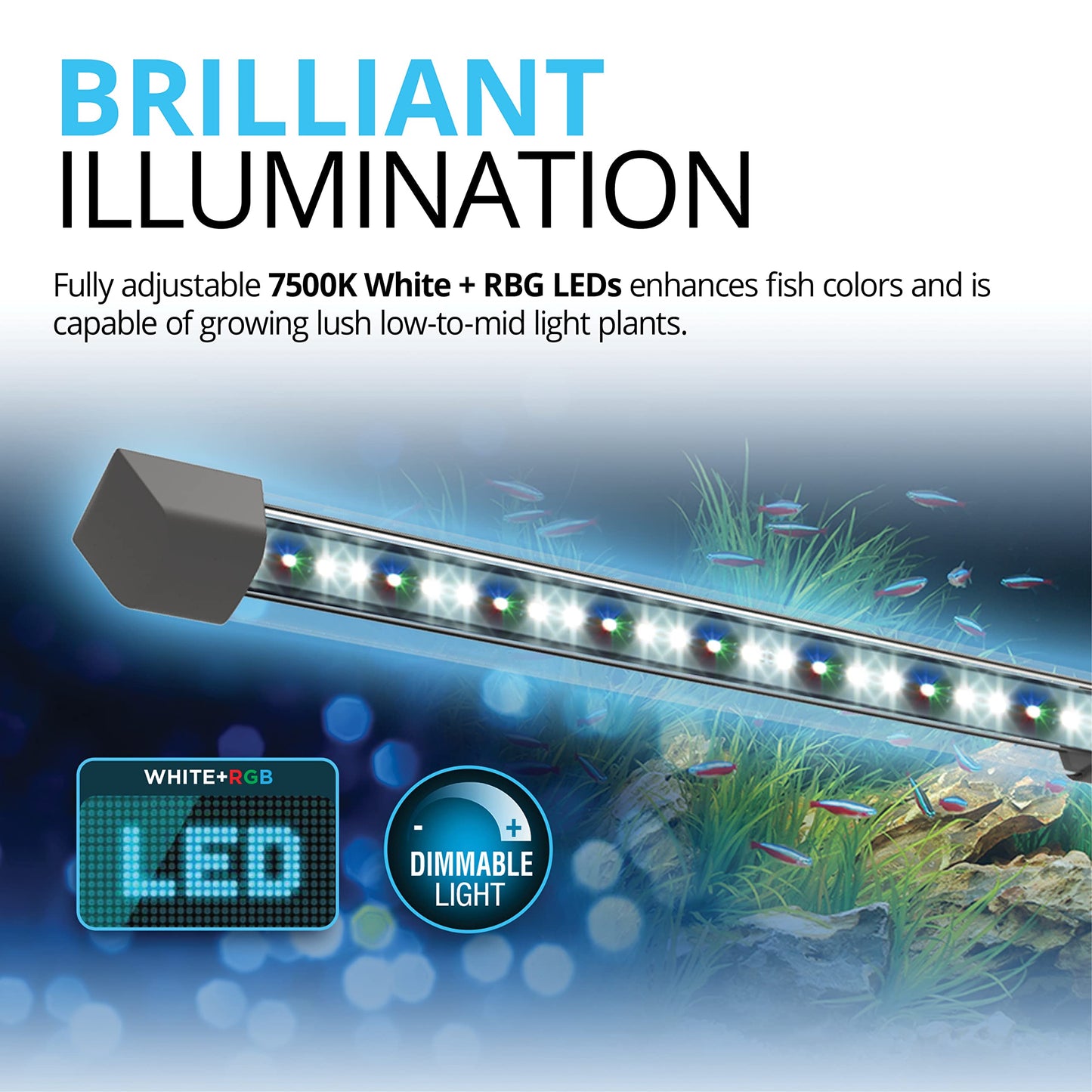 Fluval Flex 9 Aquarium Kit - Fish Tank for Fish & Plants - Comes with LED Lights, Filtration System & More - 36" x 18" x 18" - 34 L, 9 Gal. - White