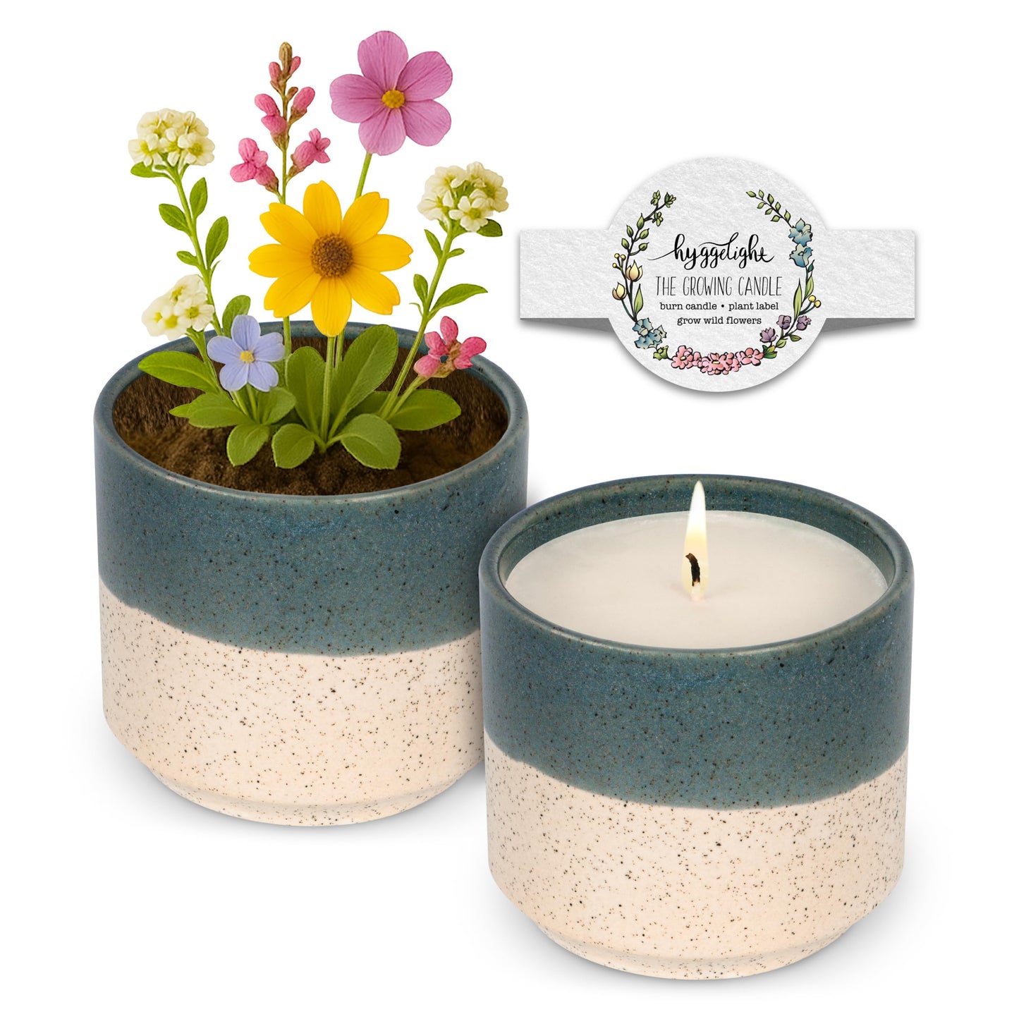 Hyggelight - The Growing Candle, Chai Scented, 8.5oz Ceramic Pot, Aromatherapy Candles for Home, 100% Soy, Willow