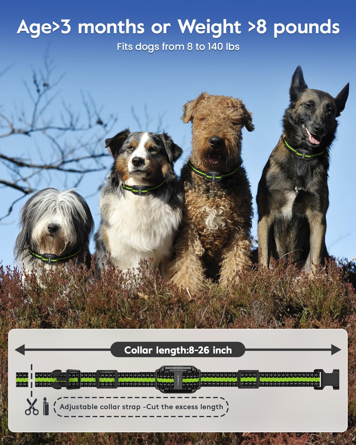 Dog Training Collar with 7 Training Modes, 2600Ft Remote Electronic Dog Shock Collar, Electric Shock Collar for Small Medium Large Dogs (Green)