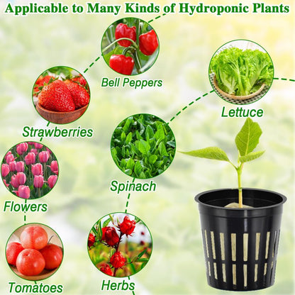 Halatool 36PCS 1.2-Inch Rockwool Cubes with 30PCS 2-Inch Net Cups for Hydroponics Great Hydroponic Kit for Cuttings Clone Plant Propagation Seed Starting & Soilless Cultivation