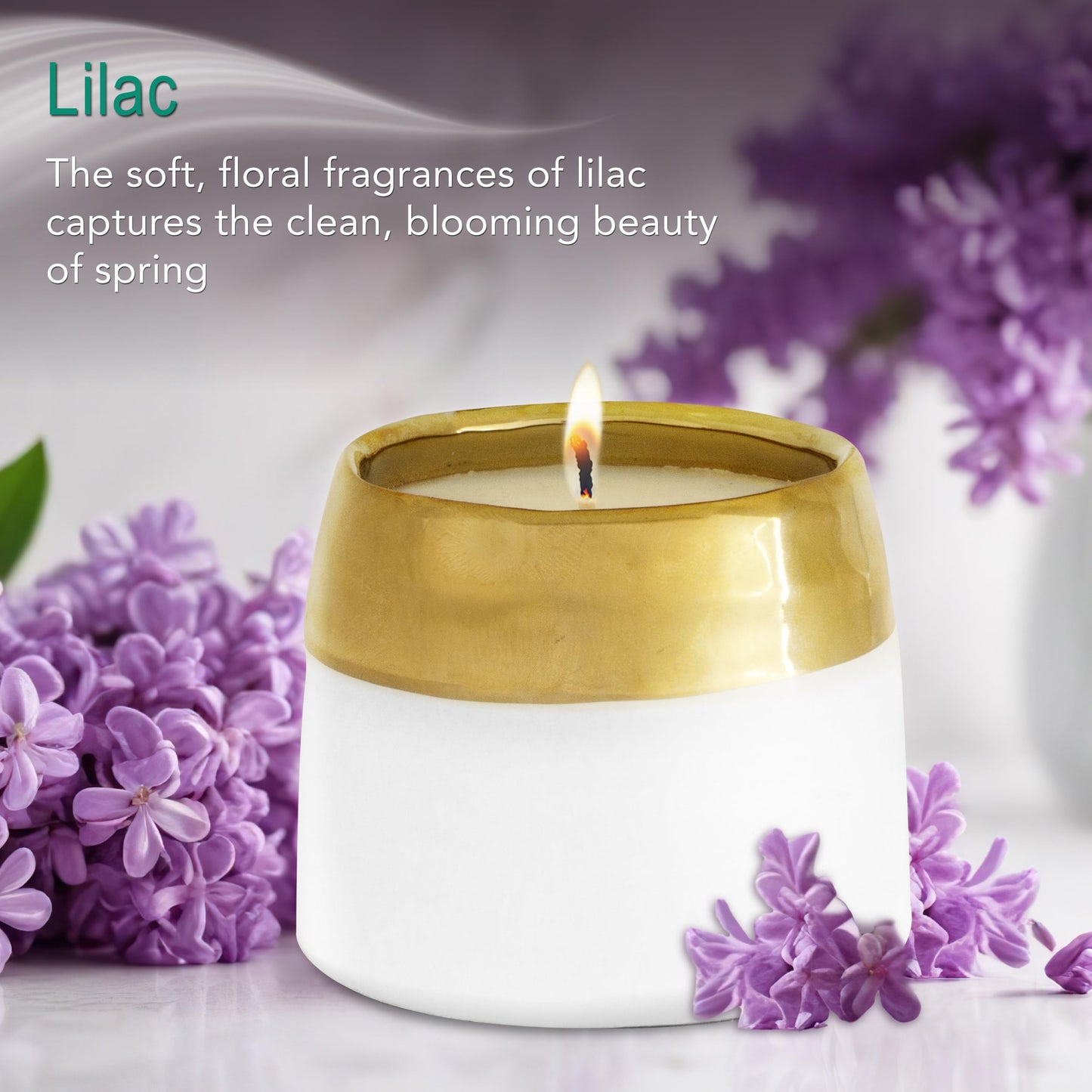 Hyggelight - The Growing Candle, Sandalwood & Vanilla Scented, 10oz Ceramic Pot, Aromatherapy Candles for Home, 100% Soy, Clara