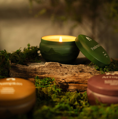 Bluecorn Aromática Scented Candle Tin, Ponderosa Pine, Pine, Cypress & Fir, Vegan Coconut Wax, Clean Burning & Long Lasting Christmas Tree Candle, Winter Home Decor, Gifts, American Made, 8 Oz