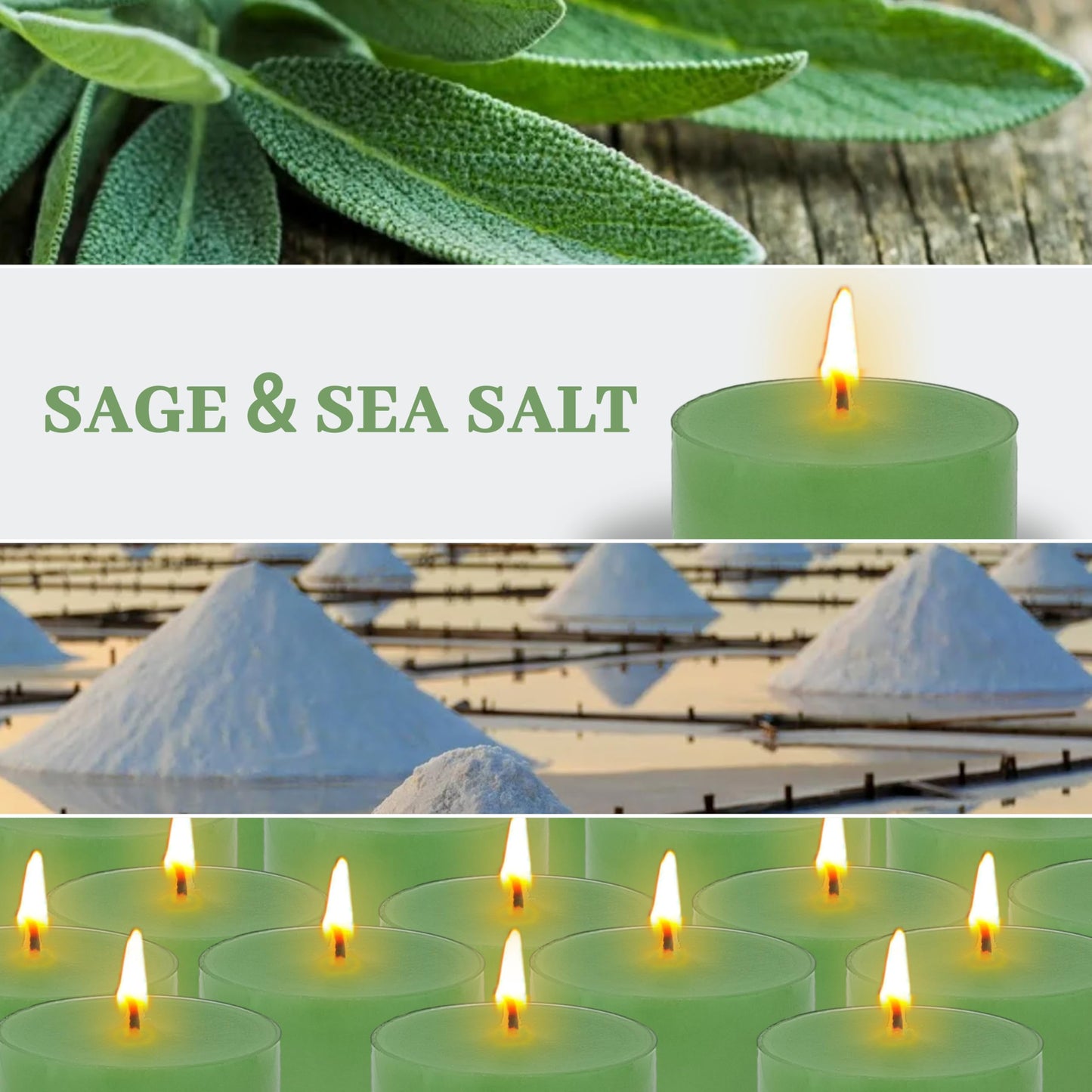 Sage Sea Salt Scented Tea Light Candles 24 Pack Sage Green Hand Poured Smokeless 4 Hours Clean Burning Small Round Clear Cups Tealight Candles for Romantic Dinners Wedding Centerpieces Cozy Evenings