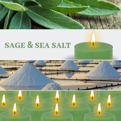 Sage Sea Salt Scented Tea Light Candles 24 Pack Sage Green Hand Poured Smokeless 4 Hours Clean Burning Small Round Clear Cups Tealight Candles for Romantic Dinners Wedding Centerpieces Cozy Evenings