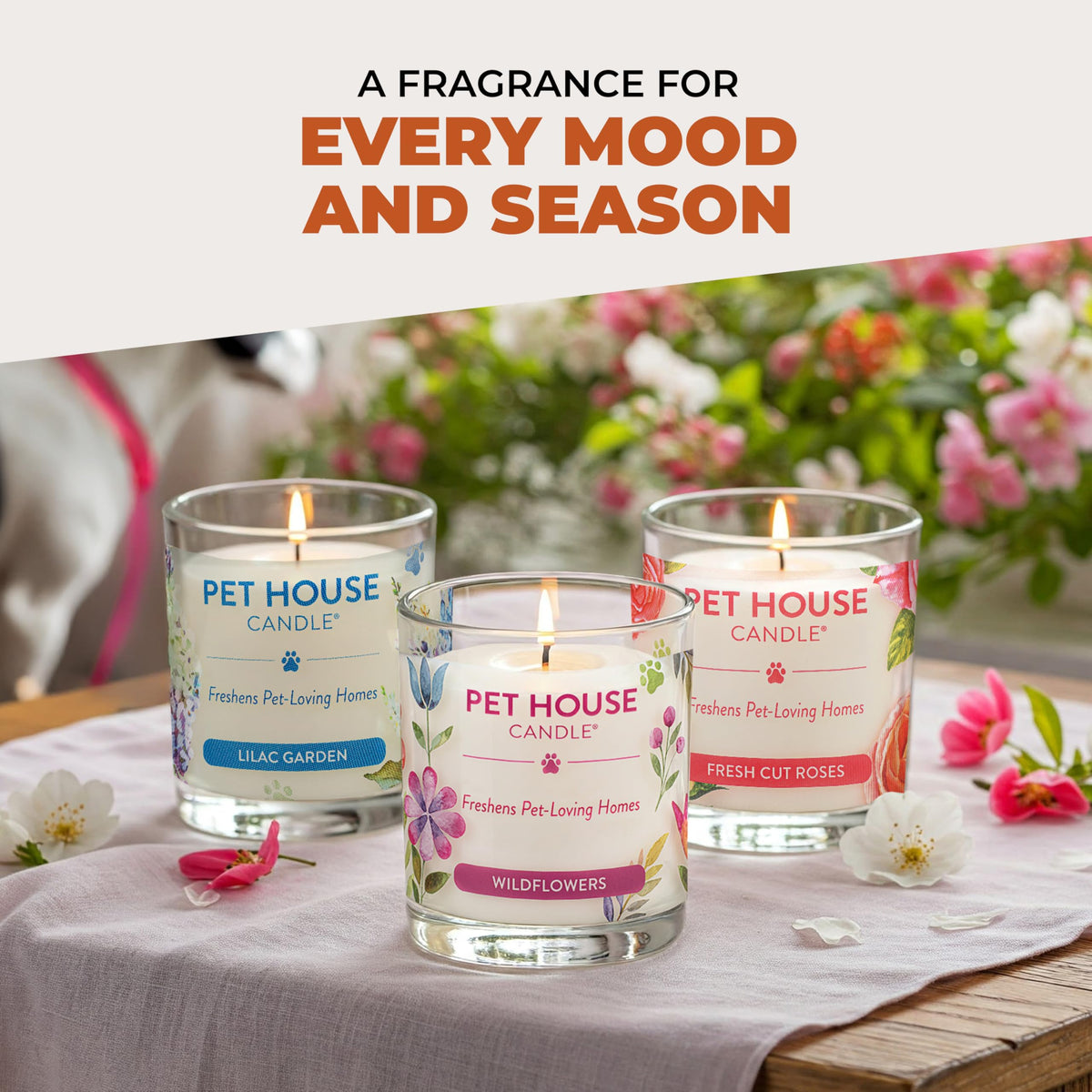 One Fur All Pet House Fall Candles, Long Lasting, Clean Burning, Soy Wax Scented Candles for Pet Odor, Falling Leaves