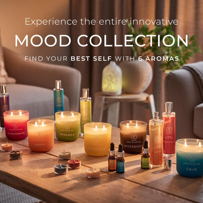 PartyLite Happy Scented, with Notes of Madagascar Mandarin and Orange Peel, 14.1oz 2-Wick Ombre Jar Candle, 24-48 Hour Burn Time, Part of The Mood Collection, Citrus & Floral, Perfect for Gifting