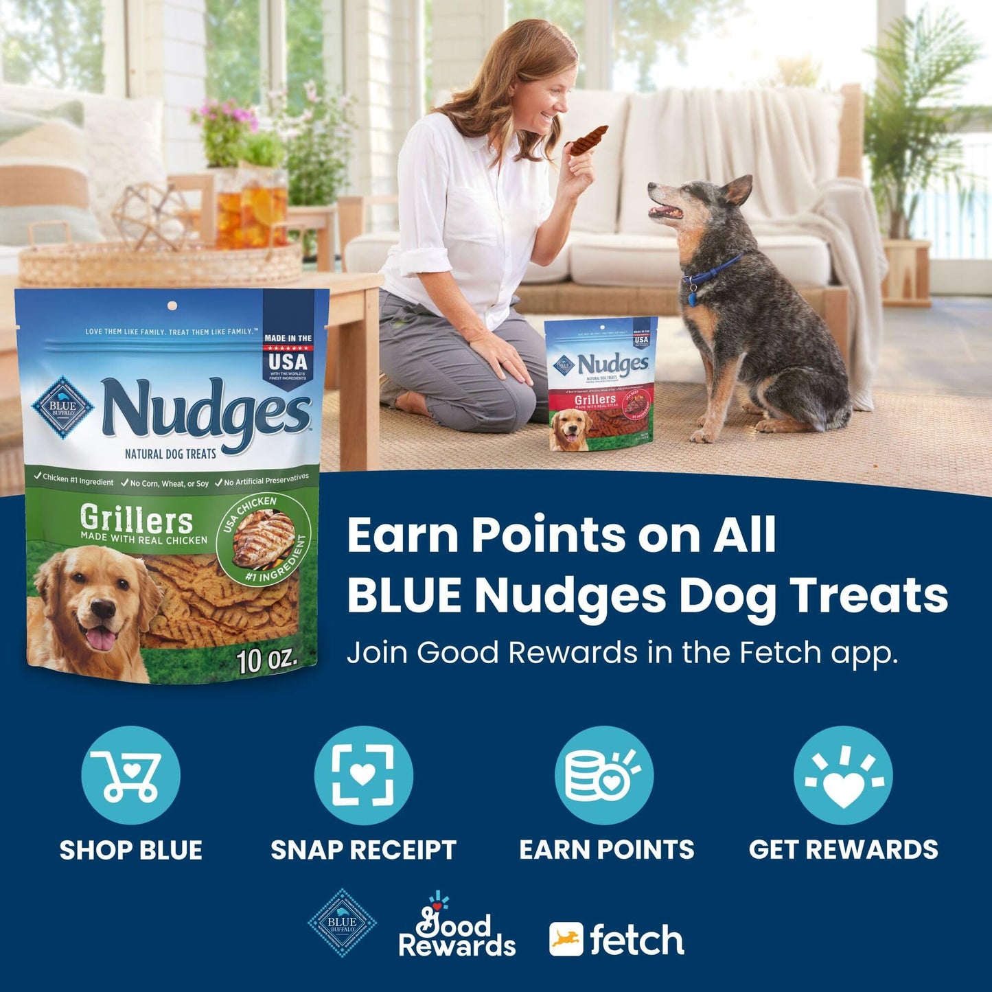 Blue Buffalo Nudges Jerky Cuts Dog Treats, Made in the USA with Natural Ingredients, Steak, 16-oz Bag