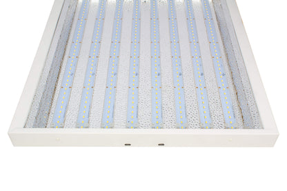 LumiaStar 4X2Ft 200W LED Grow Lights with 5500K White Spectrum and Over 2.0 PPF/W and 40000 Lumens Great for Retrofit T5 4Ft 8 Lamp Fluo Grow Lights or 400W MH Grow Hood