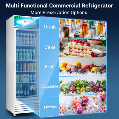 BODEGA BODEGACOOLER Commercial Beverage Refrigerator with Glass Door,12.5 Cu.Ft Drink Refrigerator,Upright Large Display Merchandiser Beverage Bar Cooler Hold Beer,Soda Drinks,Wine with LED Light Box