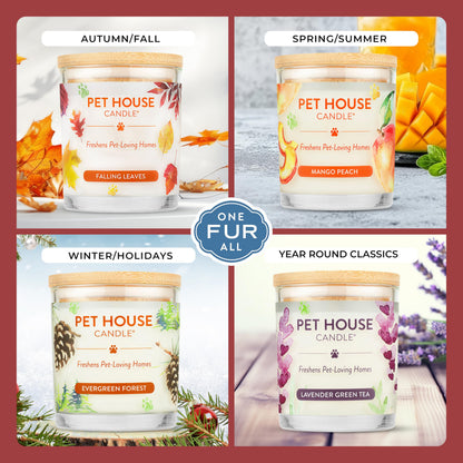 One Fur All Pet House Candle 2 Pack - Plant-Based/Soy - Clean Burning Scented, Long Lasting Pet Odor Candle for Home - Elderberry Jam
