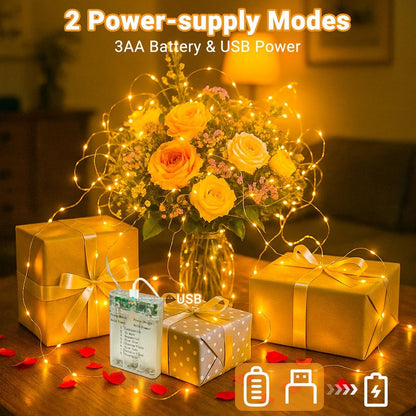 litogo 2 Pack Fairy Lights Battery Operated with Timer, 33FT 100LED Twinkle String Lights USB-C Powered 8 Modes Dimmable for Indoor Bedroom Centerpiece Wedding Classroom Dorm Christmas Decorations
