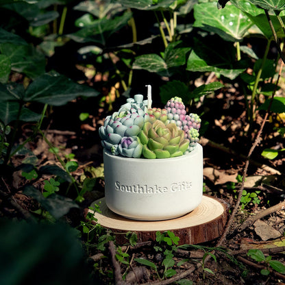 Assorted Succulent Pot Scented Vegetable Wax Candle for Spa Home Decoration Wedding Gift