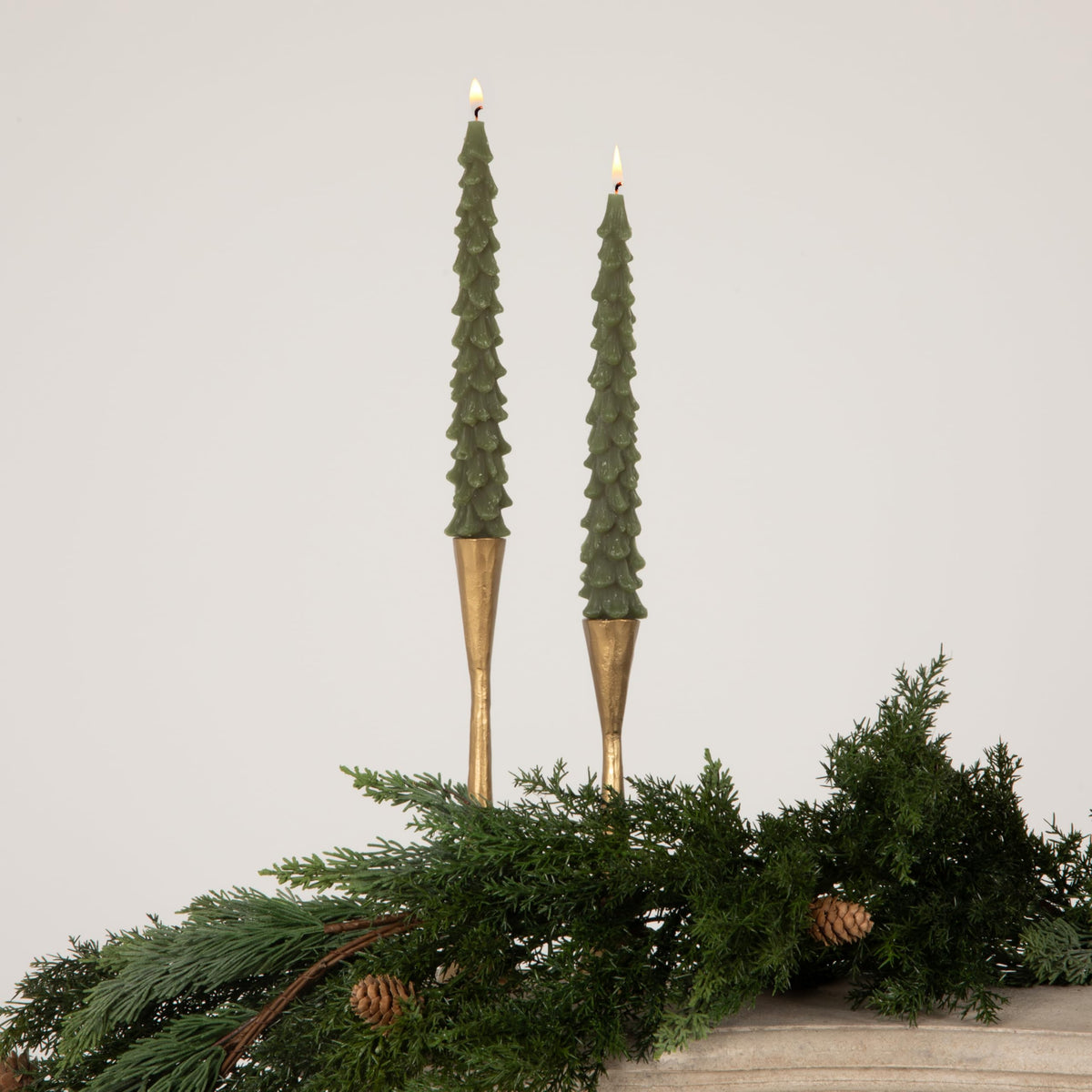 Creative Co-Op Unscented Tree Shaped Taper Candles, Evergreen, Boxed Set Of 2