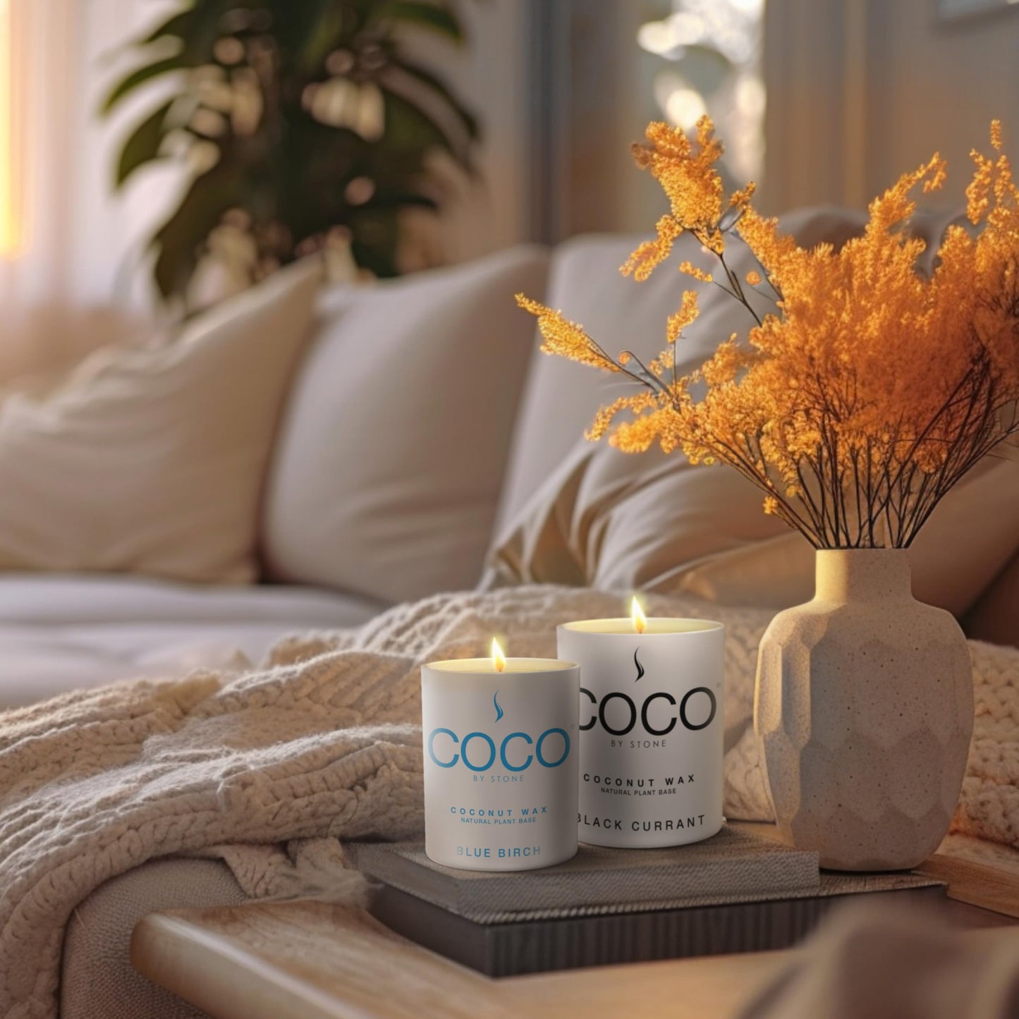COCO by Stone 6.5oz Candle, Coconut Apricot Wax Candle for Home (Black Currant) Home Fragrance Products, 1 Wick, Enhance Indoor Aroma, Vegan & Cruelty-Free, Clean Burning and Hand Poured