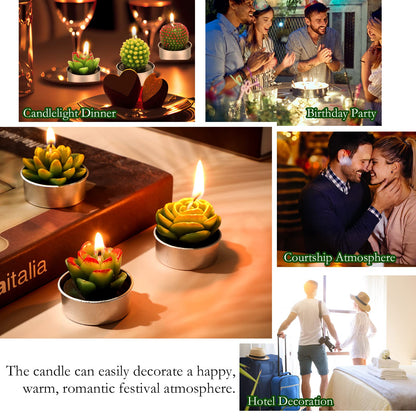 Shihanee 48 Pcs Succulent Cactus Tealights 24 Styles Handmade Mini Plant Tealight Candles Bulk Unscented Smokeless for Wedding Spa Graduation Baby Shower Housewarming Gifts Mexican Party Favors
