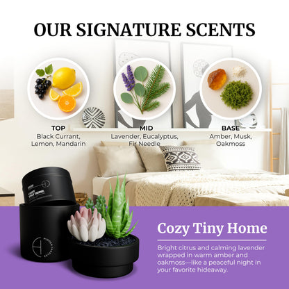 Hidden Candle – Cozy Tiny Home | Vanilla, Lavender & Eucalyptus Scented Candle with Faux Succulent | 10.6oz Soy Wax Refill, Ceramic Vessel | Long-Lasting, Decorative, Gift for Women & Men, Home Décor