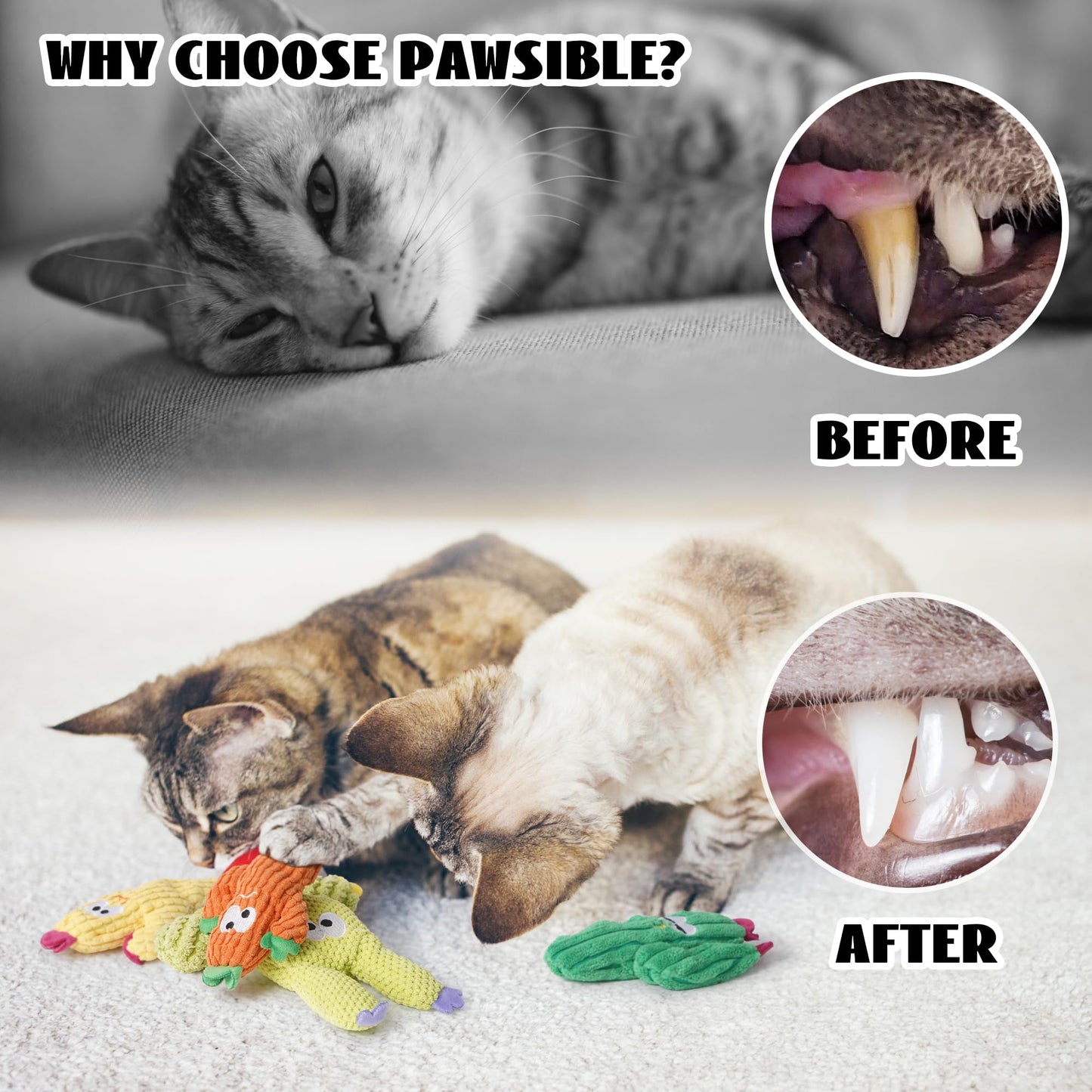 5 Pack Cactus Catnip Toys, 100% Pure Organic Catnip Filled Toys for Indoor Cats, Interactive Plush Chew Fun Without Cotton, Teething Soft Pet Toys for Kittens Kitty