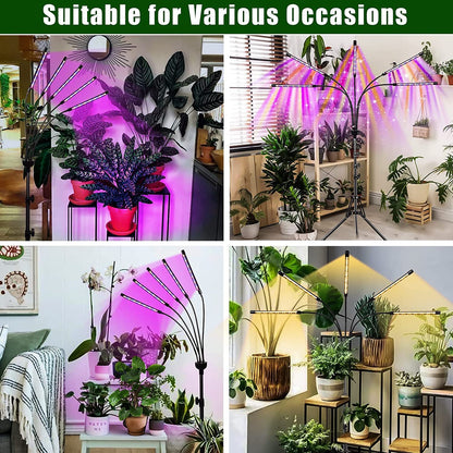 yentbokj Grow Lights for Indoor Plants,5 Heads Red Blue White Full Spectrum Plant Light with 15-60" Adjustable Tripod Stand, Indoor Grow Lamp with Remote Control and Auto On/Off Timer Function