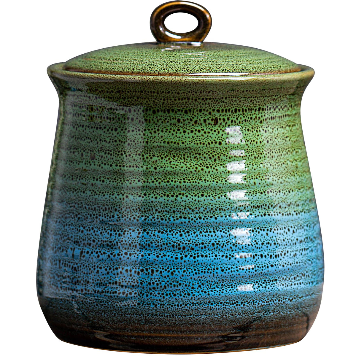 40 OZ Cookie Jar,Dog Treat Jar, Kitchen Canisters for Countertop for Food Storage Coffee, Tea,Flour, Beans, Spices, Nuts and More Ceramic Jar with Lid. (Green and Blue)