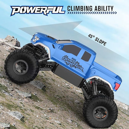 DOUBLE E Ford Raptor F150 RC Car 4WD Monster Trucks for Boys11 Inches Off Road Crawler Vehicle RC Truck Toy Gift for Boys Girls 6 7 8-12 Years-Blue