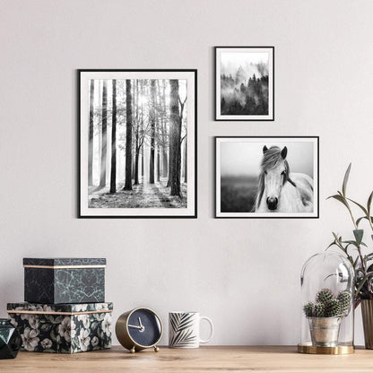 Forest Sunrise Pictures Framed Prints - Peaceful Landscape Scene and Elegant White Horse Wall Art Sets for Living Room, Bedroom, Office, Bathroom 3 Panels
