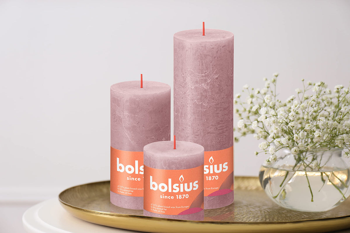 BOLSIUS 4 Pack Ash Rose Rustic Pillar Candles - 2.75 X 5 Inches - Premium European Quality - Includes Natural Plant-Based Wax - Unscented Dripless Smokeless 60 Hour Party Décor and Wedding Candles