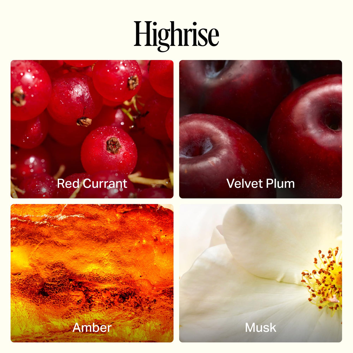 Preston Lane Highrise Extra Large 72oz Scented Candle – 4-Wick Non-Toxic Soy Candle, Hand-Poured in USA | Elegant Ceramic Vessel, Long-Burning Large Candle, Ideal Housewarming Gift & Bedroom Essential