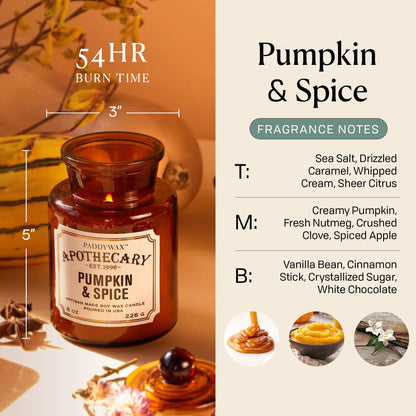 Paddywax Artisan Apothecary Scented Candle with Lid in Reusable Glass Jar, Clean-Burn Soy Candle with Approx. 54 Hour Burn Time, Pumpkin & Spice, 8 oz.