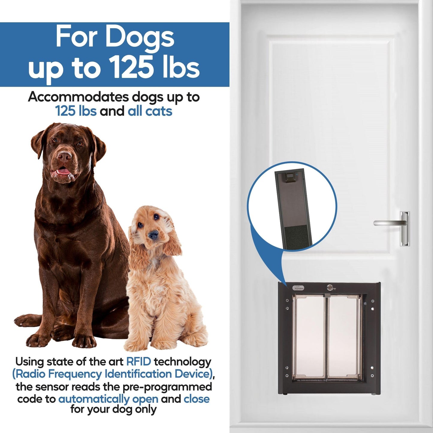 PlexiDor Performance Pet Doors Electronic Dog Door Large Bronze Door Mount