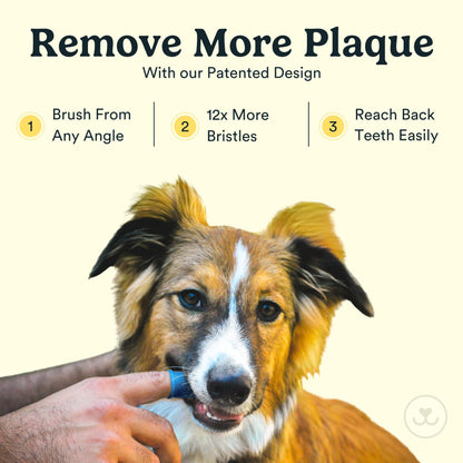 Jasper Dog Toothbrush, 360 Dog Tooth Brushing Kit, Finger Toothbrush, Cat Tooth Brush, Teeth Cleaning, Pet Tooth Brush for Small & Large Pets, Pet Toothpaste Not Included, 2-Pack Blue