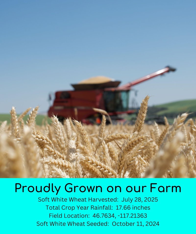 Palouse Brand Certified Glyphosate Residue Free Hard White, Soft White, Red Spring and Winter Wheat Berries | 20 LBS | Non-GMO Project Verified | Kosher (4-5 lb bags each)