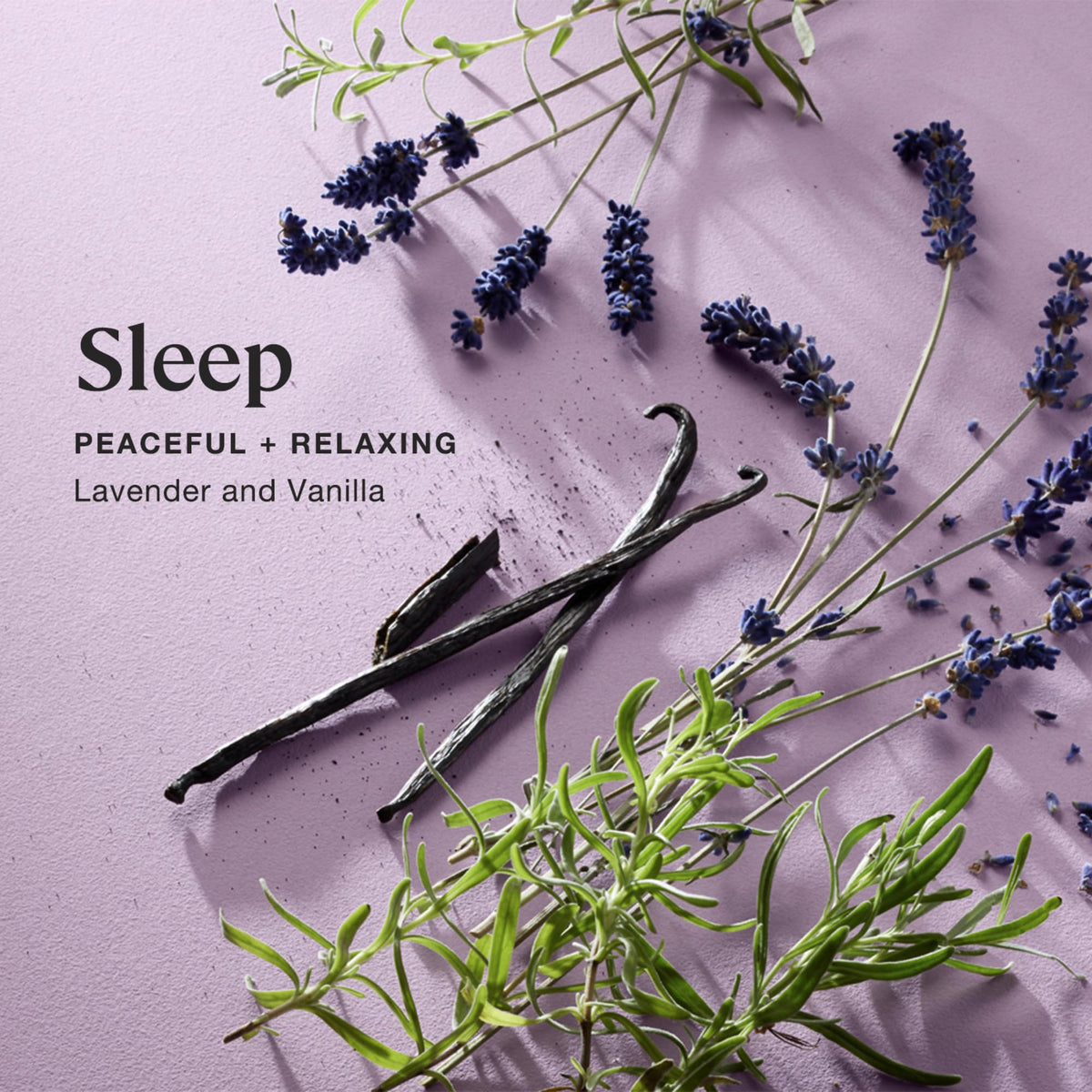 Sprig by Kohler Sleep Aromatherapy Candle with Lavender and Vanilla, 100% Natural Soy-Coconut Wax, Relaxing and Peaceful Scent, Gift for Holidays, 8 oz