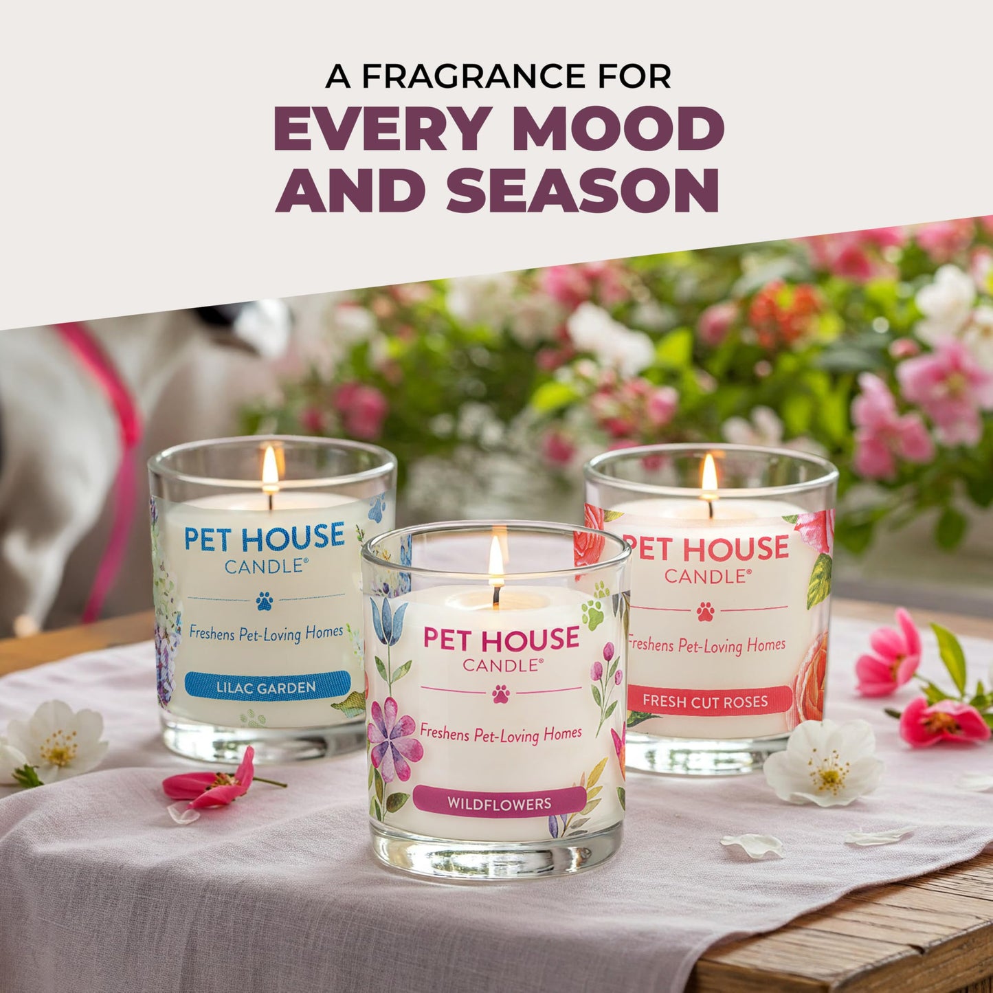 One Fur All Pet Candle 9 OZ Plant-Based Spring Candle with a 60 Hour Burn Time - BlackBerry Tea