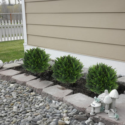 22''T Artificial Cedar Topiary Ball Tree 2 Pack, Outdoors Artificial Shrubs Faux Plants Uv Rated Perfect for Outdoor, Indoor - Easy to Install.