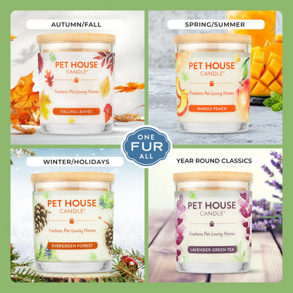 Pet House Candles, Natural Plant-Based, Long Lasting Candles for Pet Odor, 60 Hour Burn Time - Juicy Melon, 9 oz